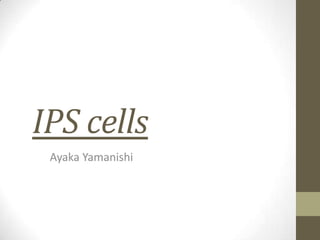 IPS cells
 Ayaka Yamanishi
 