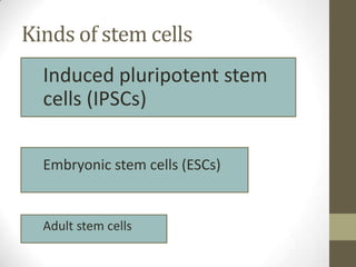 Kinds of stem cells
  Induced pluripotent stem
  cells (IPSCs)

  Embryonic stem cells (ESCs)


  Adult stem cells
 