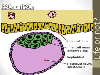 ESCs < iPSCs




               Life or not?
 