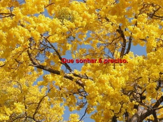 Que sonhar é preciso.
 