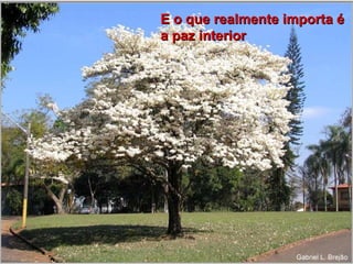 E o que realmente importa é
a paz interior
 