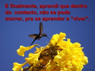 E finalmente, aprendi que dentro
do contexto, não se pode
morrer, pra se aprender a “viver".
 