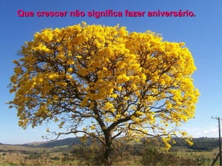 Que crescer não significa fazer aniversário.
 