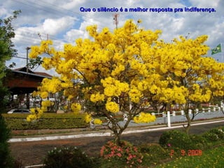 Que o silêncio é a melhor resposta pra indiferença.
 