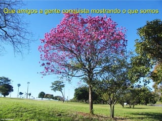 Que amigos a gente conquista mostrando o que somos
 