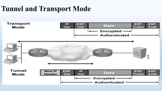 Tunnel and Transport Mode
 