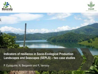 Indicators of resilience in Socio-Ecological Production 
Landscapes and Seascapes (SEPLS) – two case studies 
P. Eyzaguirre, N. Bergamini and R. Vernooy 
 
