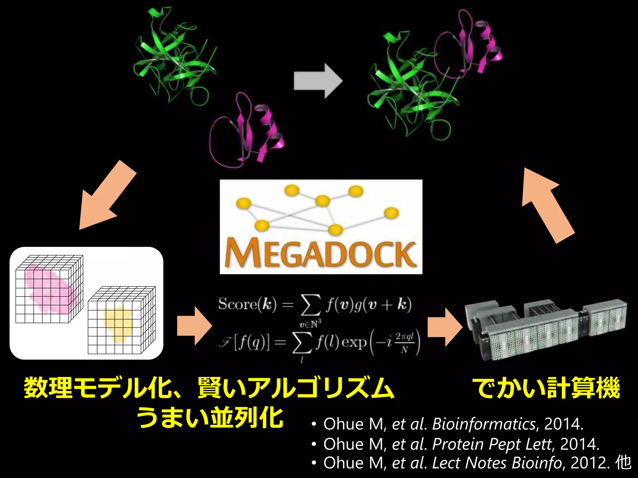 • Ohue M, et al. Bioinformatics, 2014.
• Ohue M, et al. Protein Pept Lett, 2014.
• Ohue M, et al. Lect Notes Bioinfo, 2012. 他
数理モデル化、賢いアルゴリズム
うまい並列化
でかい計算機
 