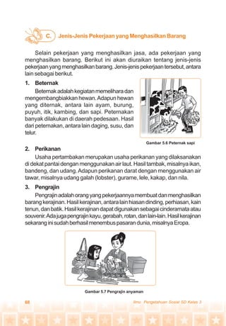 68 Ilmu Pengetahuan Sosial SD Kelas 3
Selain pekerjaan yang menghasilkan jasa, ada pekerjaan yang
menghasilkan barang. Berikut ini akan diuraikan tentang jenis-jenis
pekerjaanyangmenghasilkanbarang.Jenis-jenispekerjaantersebut,antara
lain sebagai berikut.
1. Beternak
Beternakadalahkegiatanmemeliharadan
mengembangbiakkan hewan.Adapun hewan
yang diternak, antara lain ayam, burung,
puyuh, itik, kambing, dan sapi. Peternakan
banyak dilakukan di daerah pedesaan. Hasil
dari peternakan, antara lain daging, susu, dan
telur.
2. Perikanan
Usaha pertambakan merupakan usaha perikanan yang dilaksanakan
di dekat pantai dengan menggunakan air laut. Hasil tambak, misalnya ikan,
bandeng, dan udang.Adapun perikanan darat dengan menggunakan air
tawar, misalnya udang galah (lobster), gurame, lele, kakap, dan nila.
3. Pengrajin
Pengrajinadalahorangyangpekerjaannyamembuatdanmenghasilkan
barangkerajinan.Hasilkerajinan,antaralainhiasandinding,perhiasan,kain
tenun,danbatik.Hasilkerajinandapatdigunakansebagaicinderamataatau
souvenir.Adajugapengrajinkayu,gerabah,rotan,danlain-lain.Hasilkerajinan
sekaranginisudahberhasilmenembuspasarandunia,misalnyaEropa.
Jenis-Jenis Pekerjaan yang Menghasilkan BarangC.
Gambar 5.6 Peternak sapi
Gambar 5.7 Pengrajin anyaman
 