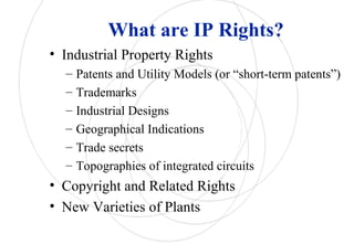 What are IP Rights?
• Industrial Property Rights
– Patents and Utility Models (or “short-term patents”)
– Trademarks
– Industrial Designs
– Geographical Indications
– Trade secrets
– Topographies of integrated circuits
• Copyright and Related Rights
• New Varieties of Plants
 