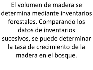 El volumen de madera se
determina mediante inventarios
forestales. Comparando los
datos de inventarios
sucesivos, se puede determinar
la tasa de crecimiento de la
madera en el bosque.