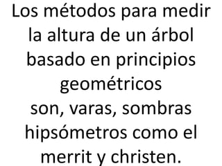 Los métodos para medir
la altura de un árbol
basado en principios
geométricos
son, varas, sombras
hipsómetros como el
merrit y christen.