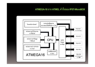 ATMEGA-16 จาก ATMEL หัวใจของ IPST-MicroBOX


                         วงจรแปลงสัญญาณ
 ไทเมอร์เคาน์เตอร์
                      อะนาลอกเปนดจตอล บต
                      อะนาลอกเปนดิจิตอล 10 บิต
                                                                      PA0-PA7
                                                            PORTA
                                                                    (อะนาลอกอินพุต)
หน่วยความจําโปรแกรม
     16 กิโลไบต์
        กโลไบต
                                                            PORTC    PC0-PC7

 หน่วยความจําข้อมูล
                                                  พอร์ต
     1 กิโลไบต์
       กโลไบต
                                                  อินพุต
                                                            PORTD    PD0-PD7
                                                 เอาต์พุต
หน่วยความจํา EEPROM
      512 ไบต์
          ไบต                                               PORTB    PB0-PB4
                                 ออสซิลเลเตอร์
                                   16 MHz
ATMEGA16                                                    PORTB
                                                                       PB5-PB7
                                                                    ดาวนโหลดโปรแกรม
                                                                    ดาวน์โหลดโปรแกรม
                                                                        แบบ ISP
 