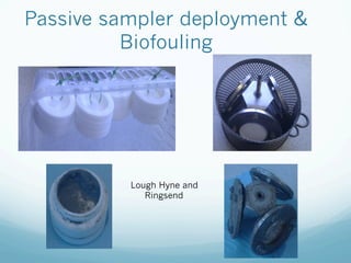 Passive sampler deployment 
Biofouling
Lough Hyne and
Ringsend
 