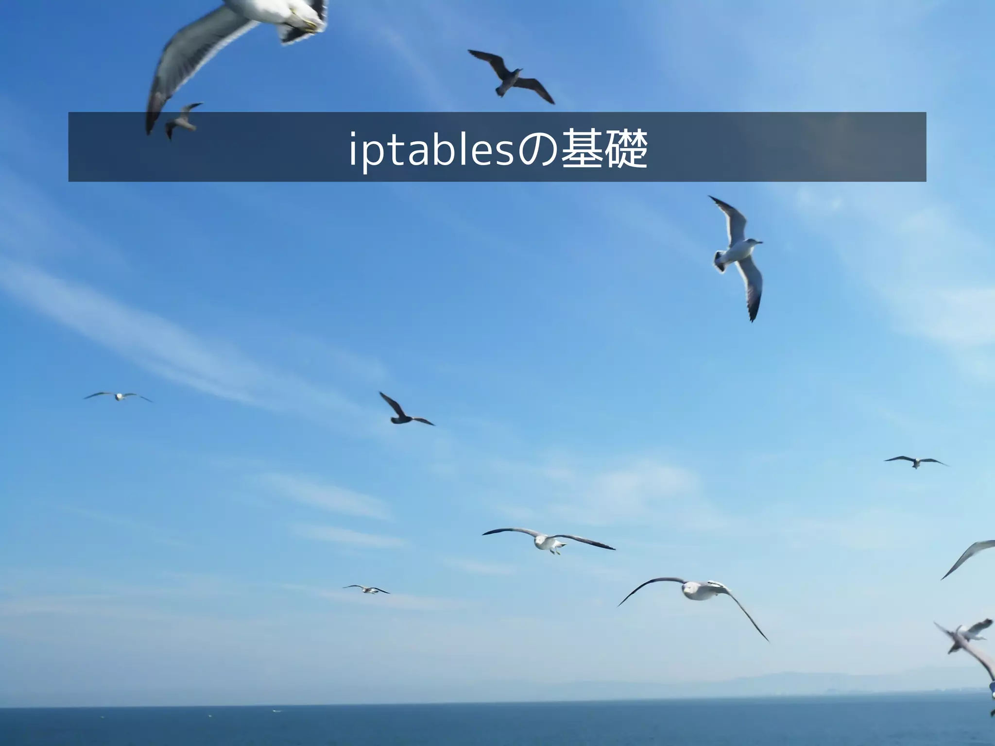 Linux女子部 iptables復習編
iptablesの基礎
 