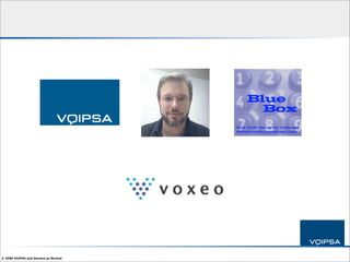 IP Telephony Security 101