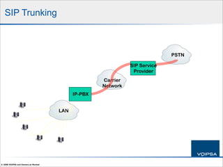 IP Telephony Security 101