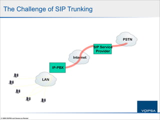 IP Telephony Security 101