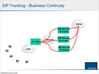 IP Telephony Security 101