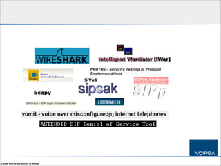 IP Telephony Security 101