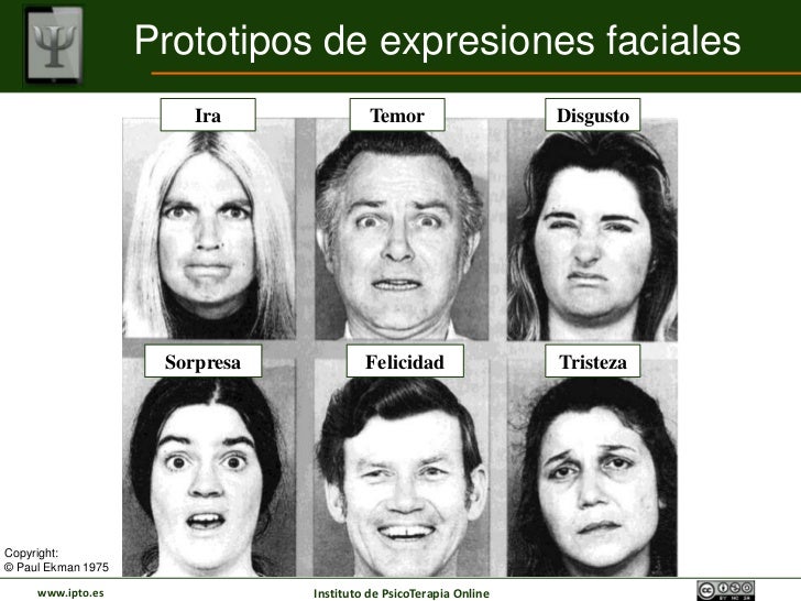 Comunicacion verbal/no verbal