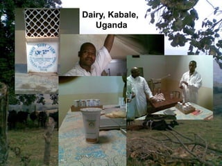 Innovation systems and innovation platforms