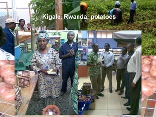 Innovation systems and innovation platforms