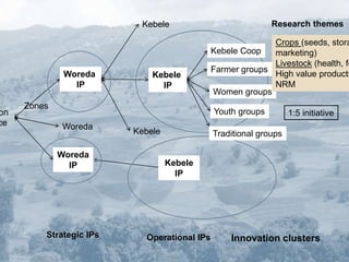 Innovation systems and innovation platforms