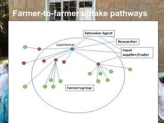 Innovation systems and innovation platforms
