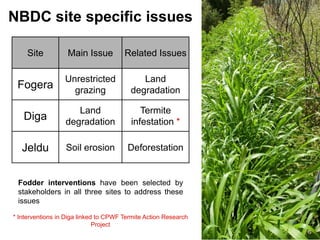 Local innovation platforms: Experiences from the Nile BDC in Ethiopia