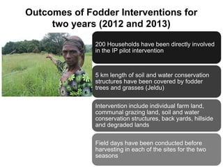 Local innovation platforms: Experiences from the Nile BDC in Ethiopia