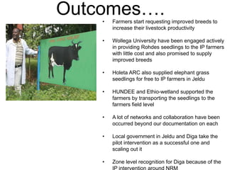 Local innovation platforms: Experiences from the Nile BDC in Ethiopia