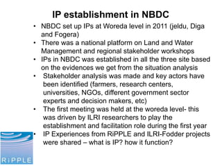 Local innovation platforms: Experiences from the Nile BDC in Ethiopia