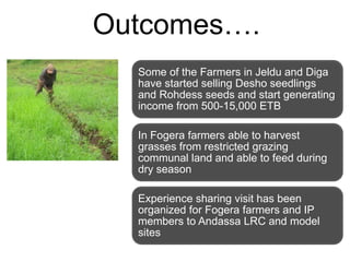 Local innovation platforms: Experiences from the Nile BDC in Ethiopia