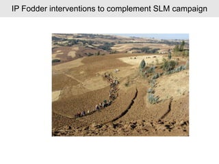 Local innovation platforms: Experiences from the Nile BDC in Ethiopia