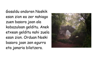 Gosaldu ondoren Noskik esan zion ea zer nahiago zuen basora joan ala kobazuloan gelditu. Anek etxean gelditu nahi zuela esan zion. Orduan Noski basora joan zen egurra eta janaria bilatzera. 