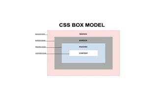 CSS Box Model
 