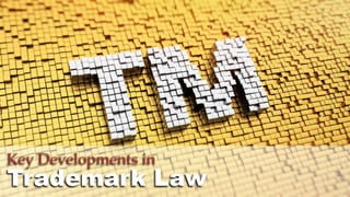 © 2015 ROBINS KAPLAN LLP 48
Key Developments in
Trademark Law
 