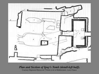 Plan and Section of Ipuy's Tomb (detail-left half).
Courtesy Digimom-Maison de l’Orient et de la Méditerranée, Lyon–France.
 