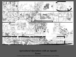 Agricultural Operations with an Aquatic
Scene.
Courtesy Digimom-Maison de l’Orient et de la Méditerranée, Lyon–France.
 