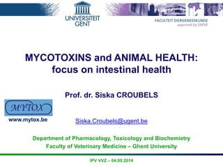 MYCOTOXINS and ANIMAL HEALTH: 
focus on intestinal health 
Prof. dr. Siska CROUBELS 
Siska.Croubels@ugent.be 
Department o...