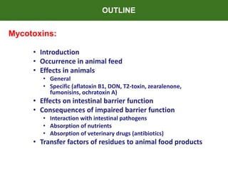 Mycotoxins: 
OUTLINE 
• Introduction 
• Occurrence in animal feed 
• Effects in animals 
• General 
• Specific (aflatoxin ...