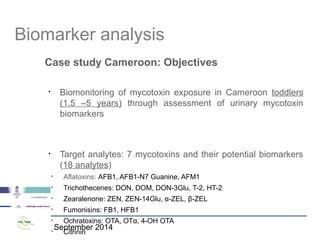 Mycotoxins: analysis and human exposure