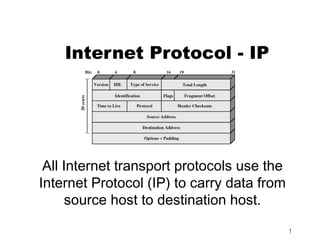 Internet Protocol - IP




 All Internet transport protocols use the
Internet Protocol (IP) to carry data from
      source host to destination host.

                                            1
 