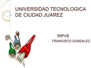 UNIVERSIDAD TECNOLOGICA DE CIUDAD JUAREZ                             RIPV6 FRANCISCO GONZALEZ  