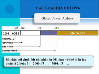 CÁC LOẠI ĐỊA CHỈ IPv6

                         Global Unicast Address




Bắt đầu với chuỗi bit nhị phân là 001, hay với hệ thập lục
phân là 2 hoặc 3 : 2000::/3 , 3001::/3 …
 