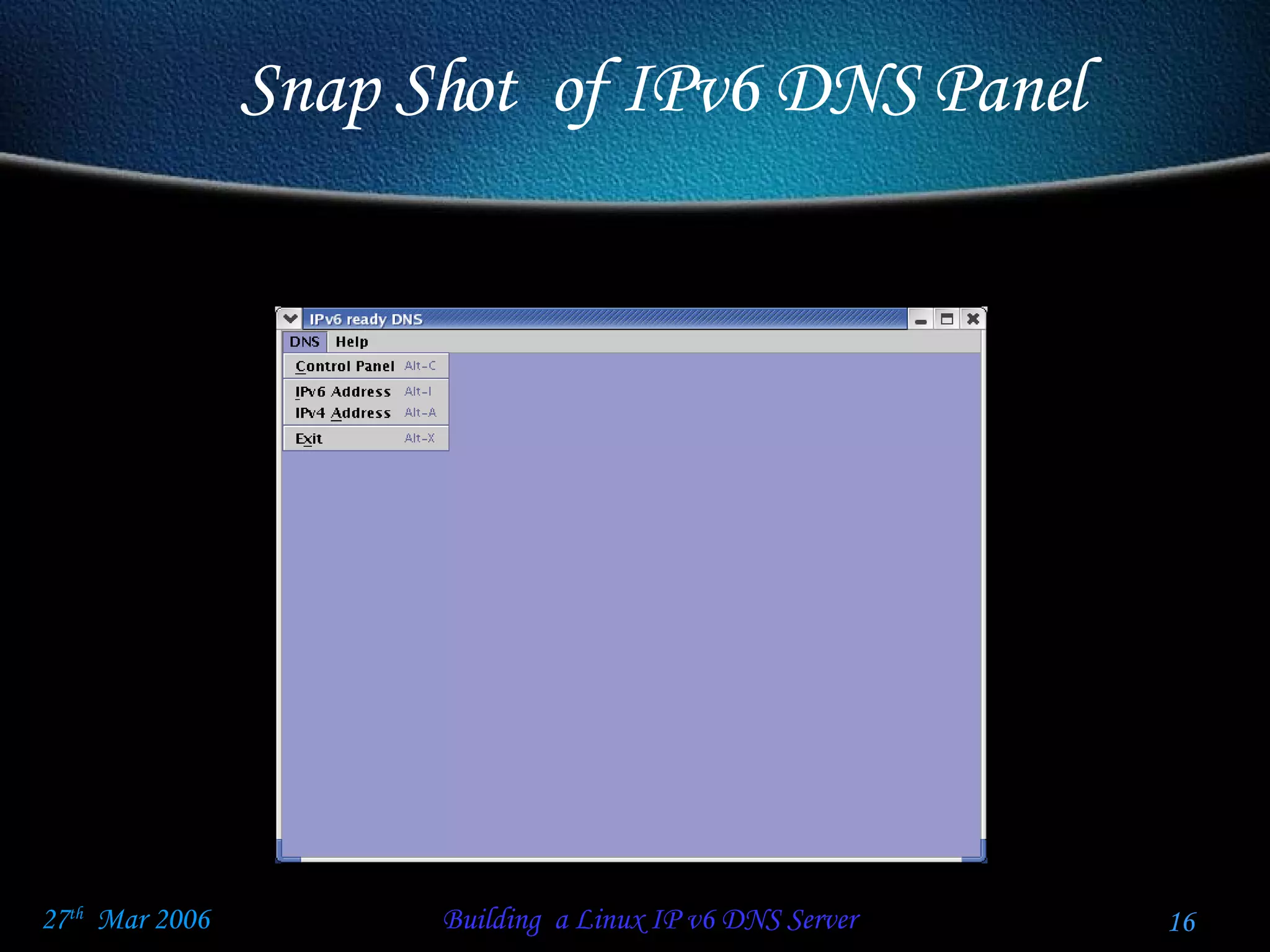 Snap Shot  of IPv6 DNS Panel 