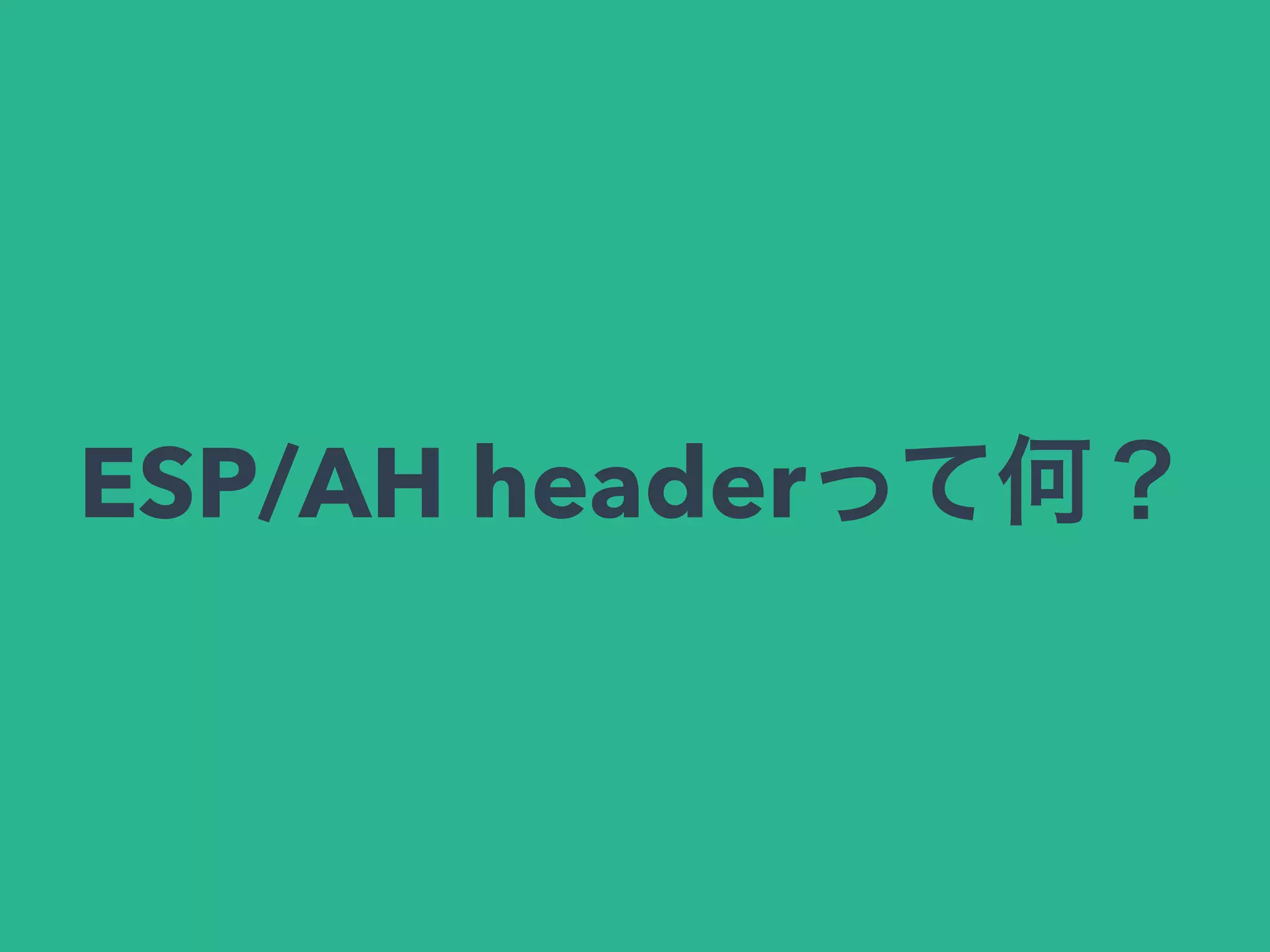 ESP/AH headerって何？
 