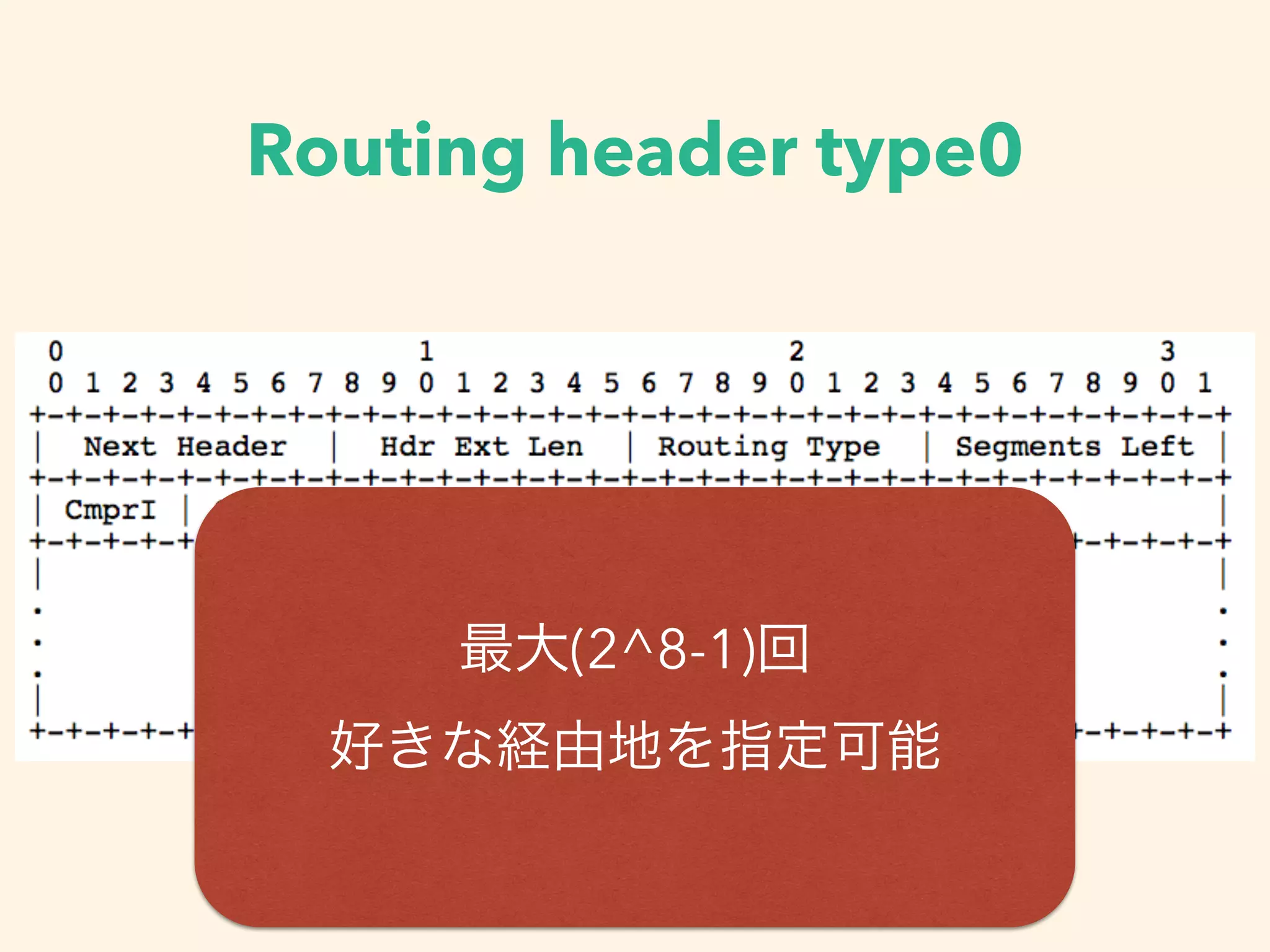 Routing header type0
最大(2^8-1)回
好きな経由地を指定可能
 