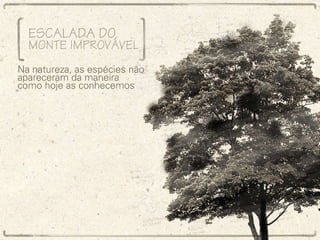 Escalada do Monte Improvável Na natureza, as espécies não apareceram da maneira como hoje as conhecemos 